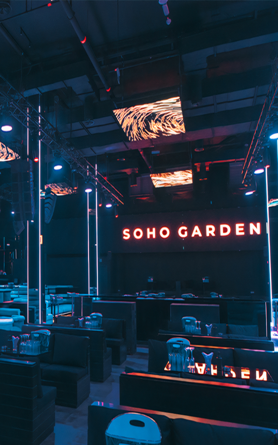 Soho Garden palm indoor area